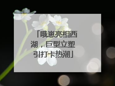 哦崽亮相西湖，巨型立塑引打卡热潮