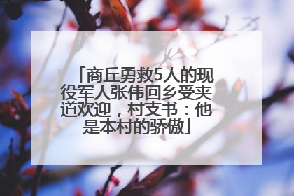 商丘勇救5人的现役军人张伟回乡受夹道欢迎，村支书：他是本村的骄傲