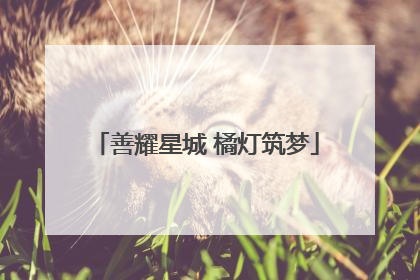 善耀星城 橘灯筑梦