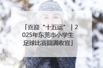 喜迎“十五运”｜2025年东莞市小学生足球比赛圆满收官