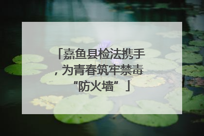 嘉鱼县检法携手，为青春筑牢禁毒“防火墙”