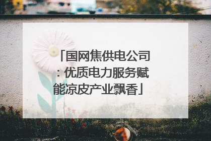 国网焦供电公司：优质电力服务赋能凉皮产业飘香