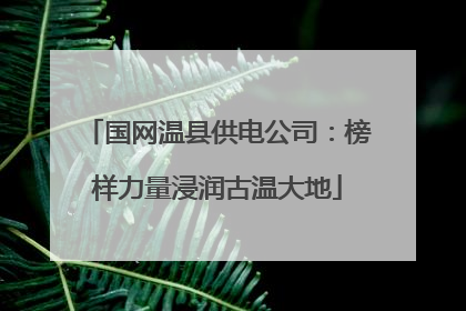 国网温县供电公司：榜样力量浸润古温大地