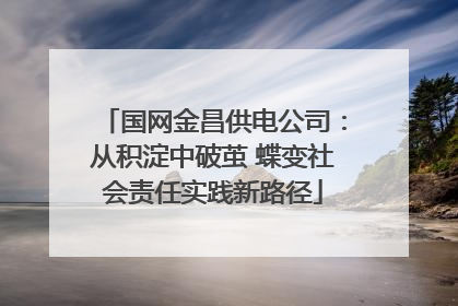 国网金昌供电公司：从积淀中破茧 蝶变社会责任实践新路径