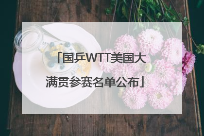 国乒WTT美国大满贯参赛名单公布