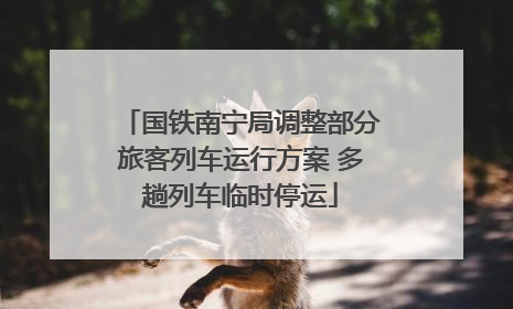 国铁南宁局调整部分旅客列车运行方案 多趟列车临时停运