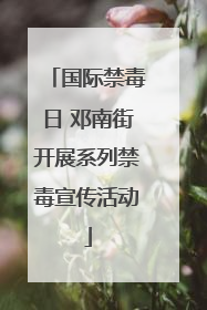 国际禁毒日 邓南街开展系列禁毒宣传活动