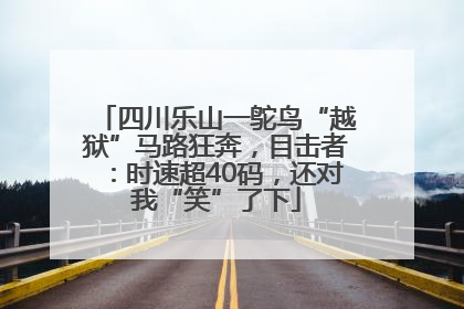 四川乐山一鸵鸟“越狱”马路狂奔，目击者：时速超40码，还对我“笑”了下