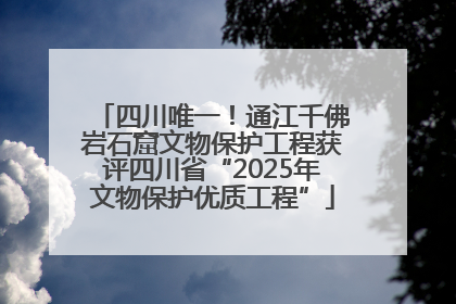 四川唯一！通江千佛岩石窟文物保护工程获评四川省“2025年文物保护优质工程”