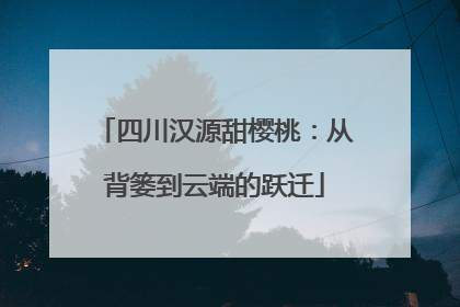四川汉源甜樱桃：从背篓到云端的跃迁