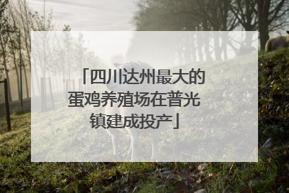 四川达州最大的蛋鸡养殖场在普光镇建成投产