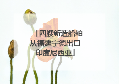 四艘新造船舶从福建宁德出口印度尼西亚