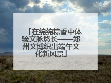在绵绵粽香中体验文脉悠长——郑州文博织出端午文化新风景