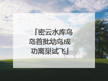密云水库鸟岛首批幼鸟成功离巢试飞
