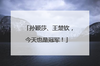 孙颖莎、王楚钦，今天也是冠军！