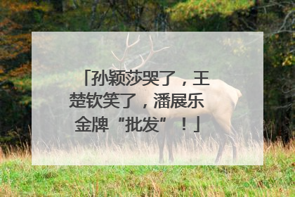 孙颖莎哭了，王楚钦笑了，潘展乐金牌“批发”！