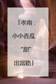 孝南：小小香瓜 “甜”出富路