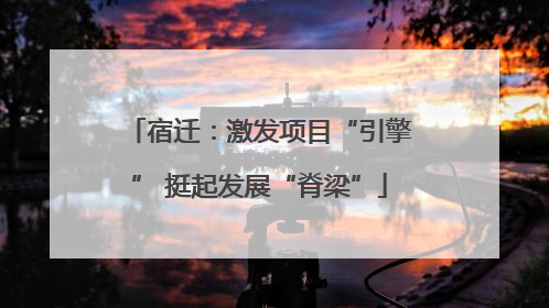 宿迁：激发项目“引擎” 挺起发展“脊梁”
