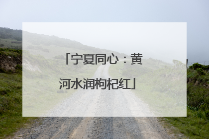 宁夏同心：黄河水润枸杞红