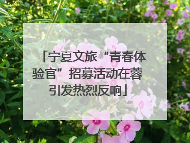 宁夏文旅“青春体验官”招募活动在蓉引发热烈反响
