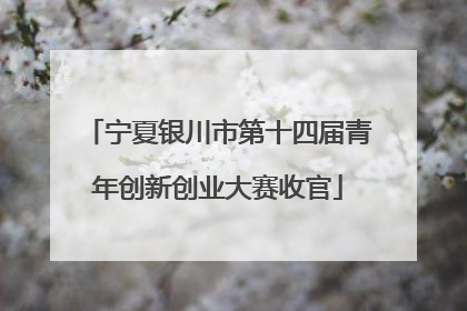 宁夏银川市第十四届青年创新创业大赛收官