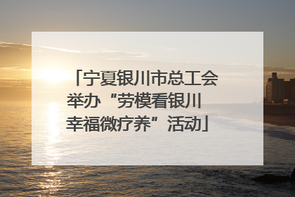 宁夏银川市总工会举办“劳模看银川 幸福微疗养”活动
