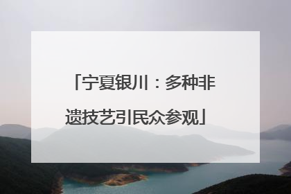 宁夏银川：多种非遗技艺引民众参观