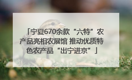 宁夏670余款“六特”农产品亮相农展馆 推动优质特色农产品“出宁进京”