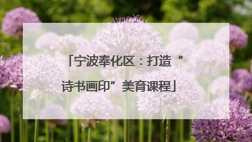 宁波奉化区：打造“诗书画印”美育课程