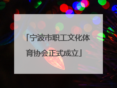 宁波市职工文化体育协会正式成立