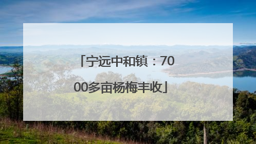 宁远中和镇：7000多亩杨梅丰收