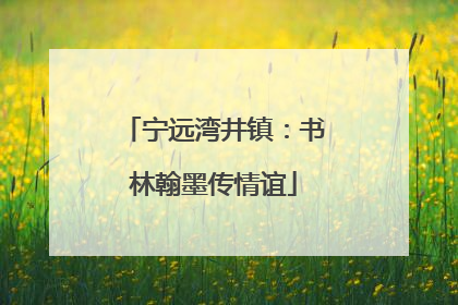 宁远湾井镇：书林翰墨传情谊