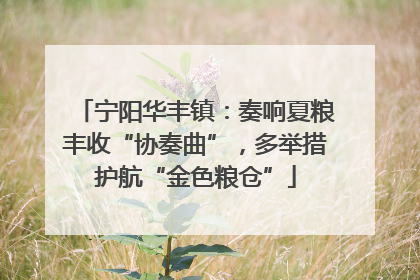 宁阳华丰镇：奏响夏粮丰收“协奏曲”，多举措护航“金色粮仓”