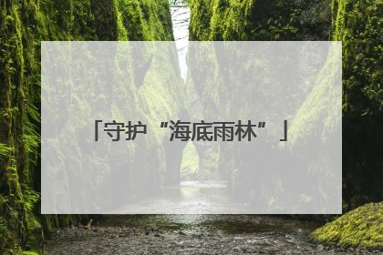 守护“海底雨林”