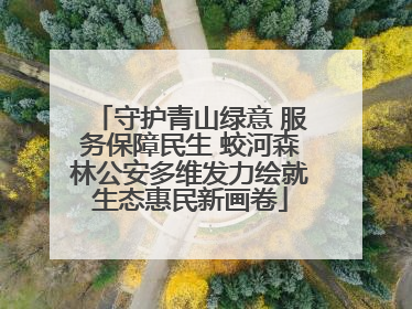 守护青山绿意 服务保障民生 蛟河森林公安多维发力绘就生态惠民新画卷