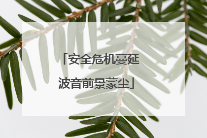 安全危机蔓延 波音前景蒙尘