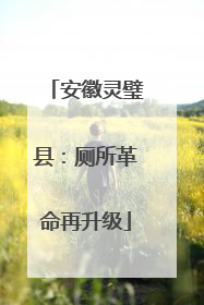 安徽灵璧县：厕所革命再升级