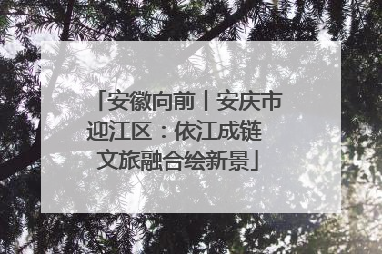 安徽向前丨安庆市迎江区：依江成链 文旅融合绘新景
