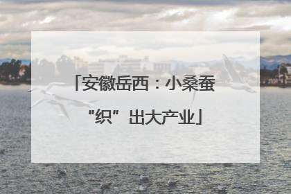安徽岳西：小桑蚕“织”出大产业