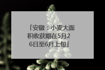 安徽：小麦大面积收获期在5月26日至6月上旬