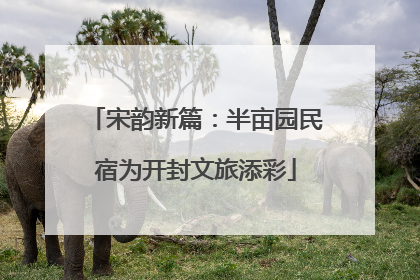 宋韵新篇：半亩园民宿为开封文旅添彩