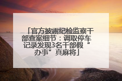 官方披露纪检监察干部查案细节：调取停车记录发现3名干部假“办事”真麻将