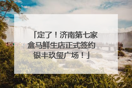 定了！济南第七家盒马鲜生店正式签约银丰玖玺广场！