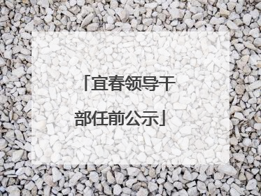 宜春领导干部任前公示