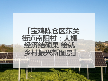 宝鸡陈仓区东关街道南阳村：大棚经济结硕果 绘就乡村振兴新图景