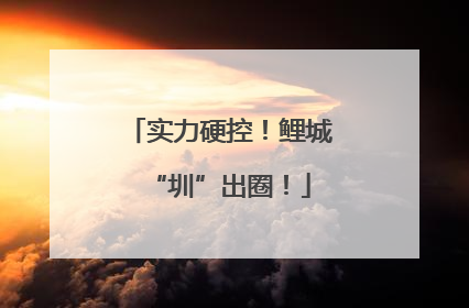 实力硬控！鲤城“圳”出圈！