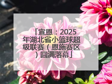 宣恩：2025年湖北省小篮球超级联赛（恩施赛区）圆满落幕
