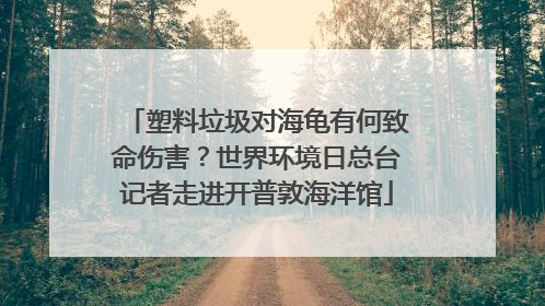 塑料垃圾对海龟有何致命伤害？世界环境日总台记者走进开普敦海洋馆
