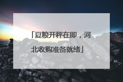 夏粮开秤在即，河北收购准备就绪