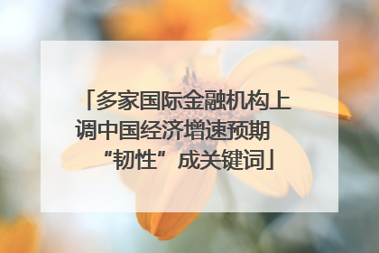 多家国际金融机构上调中国经济增速预期 “韧性”成关键词